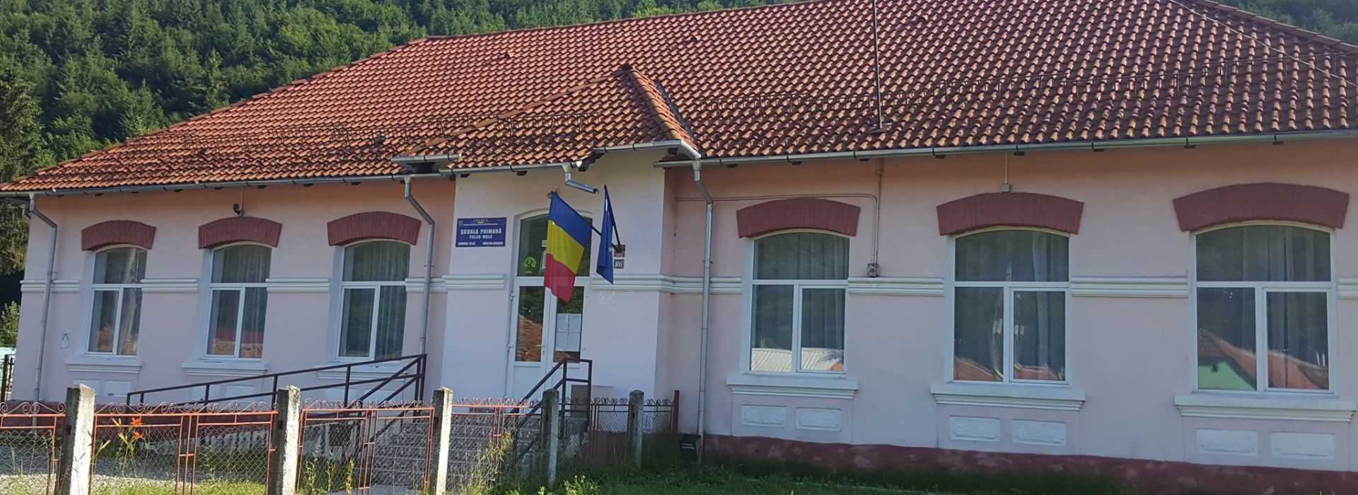 Școala Primară Teliu-Vale